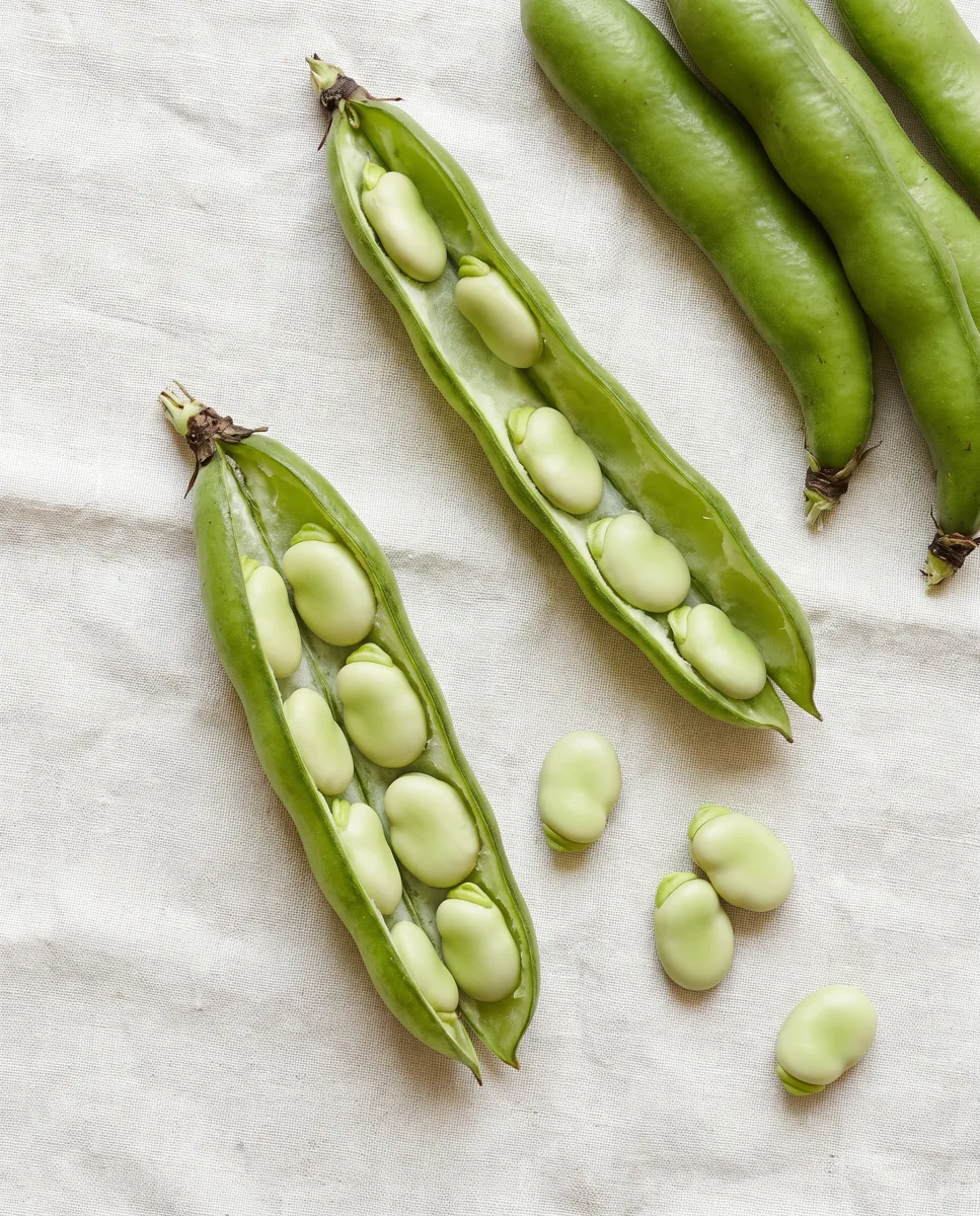Fava bean pods split open on linen